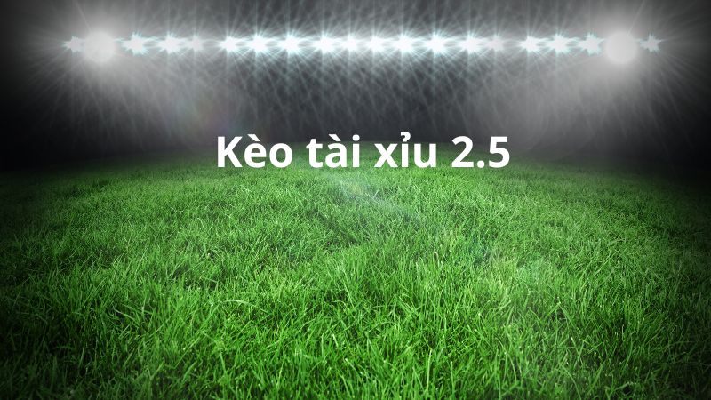 Bạn nên theo dõi biến động kèo trước giờ bóng lăn