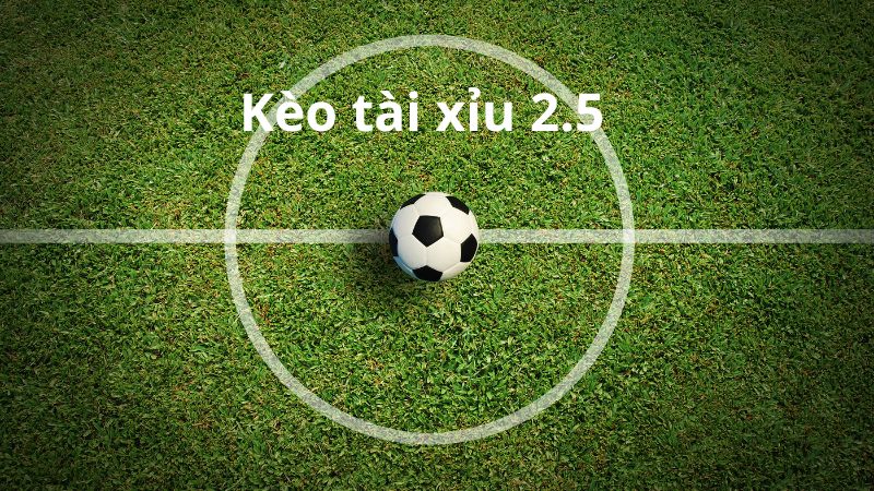 Hình thức kèo tài xỉu 2.5 được lựa chọn phổ biến