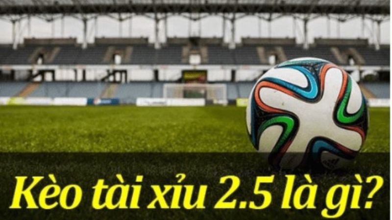Kèo có những ưu nhược điểm nhất định khi chơi